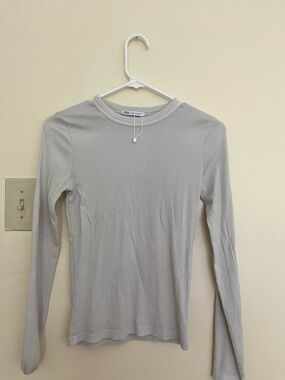Zara Light Gray Ribbed Long Sleeve Crewneck Top